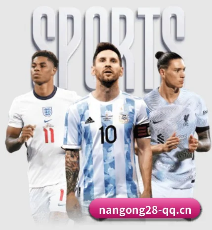 五大服务分区,信息按项目分类 | NG28