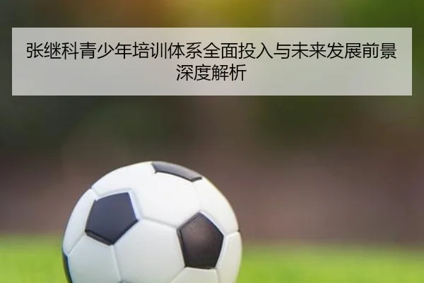 张继科青少年培训体系全面投入与未来发展前景深度解析 | NG28